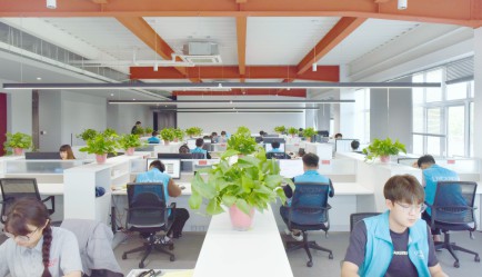 Liyoung Electric's Senior Team